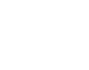 Logo Quiz Boxing - La Roche-sur-Yon